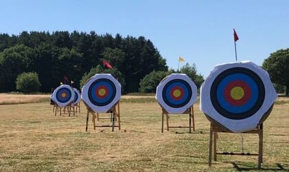 An image of bright coloured archery targets on a sunny field